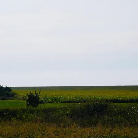 Haus Strandflieder 別荘 *