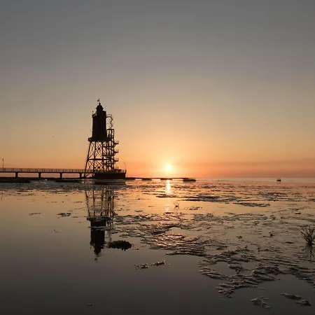 Haus Strandflieder *