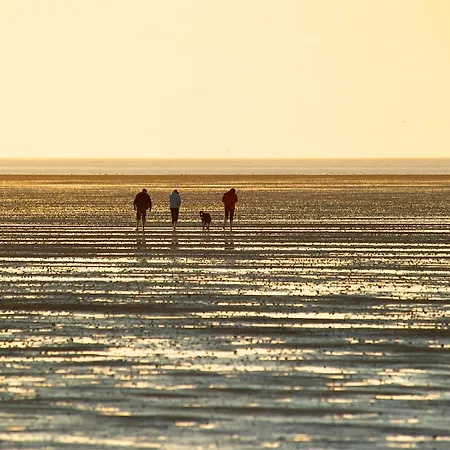 Haus Strandflieder ドルム・ノイフェルト