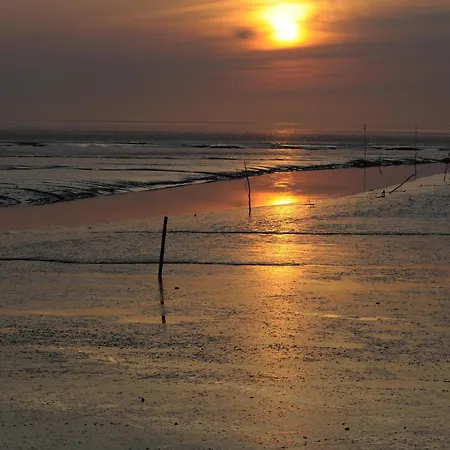 別荘 Haus Strandflieder ドルム・ノイフェルト