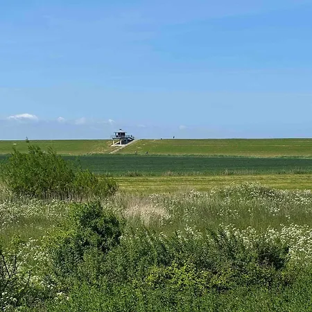 Haus Strandflieder Feriehus *