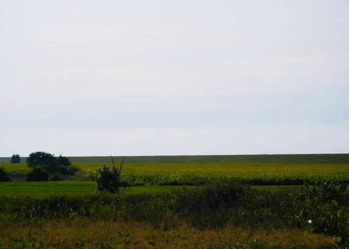 Haus Strandflieder بيت للعطل *