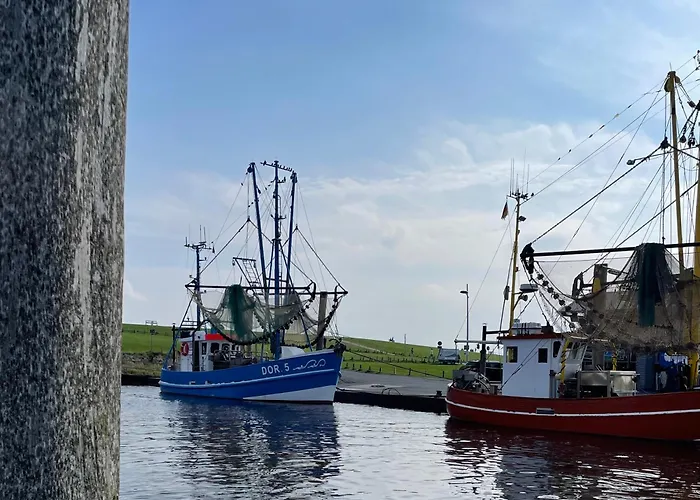 بيت للعطل Haus Strandflieder *