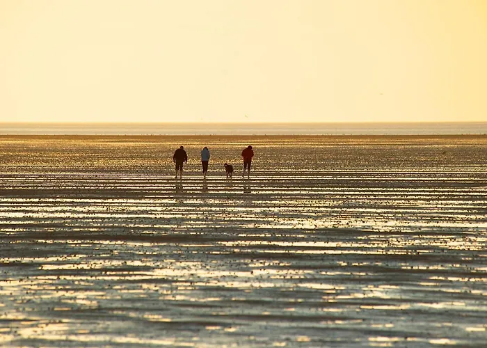 Haus Strandflieder دورم نيوفيلد
