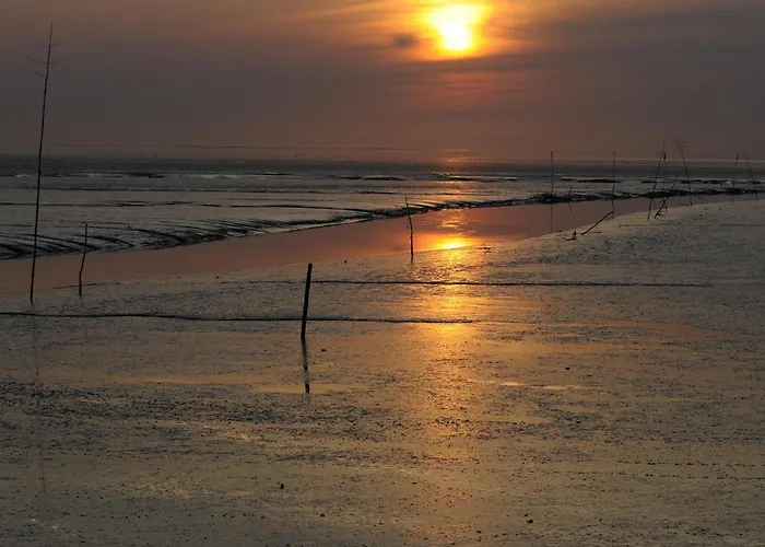 بيت للعطل Haus Strandflieder دورم نيوفيلد